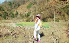 最近中文字幕2019视频1